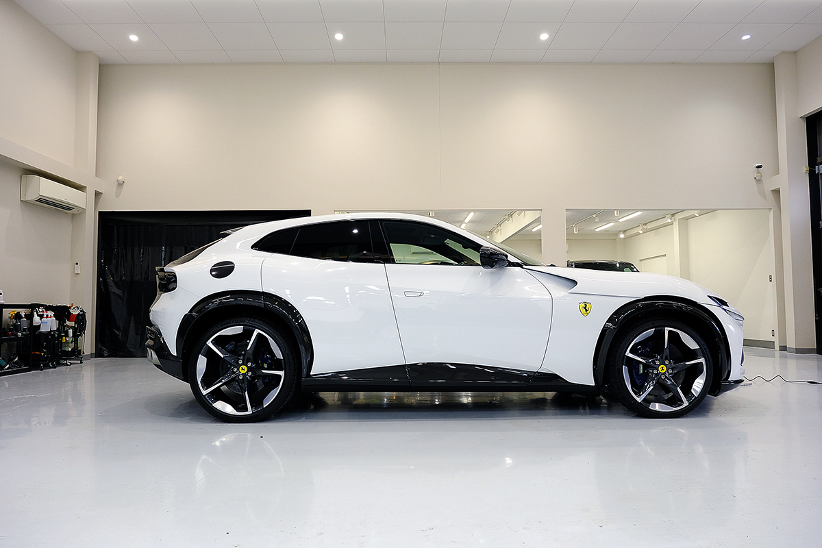 プロサングエカーボンプロテクションフィルム