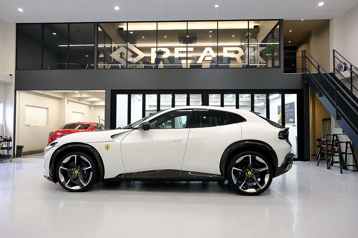 プロサングエカーボンプロテクションフィルム