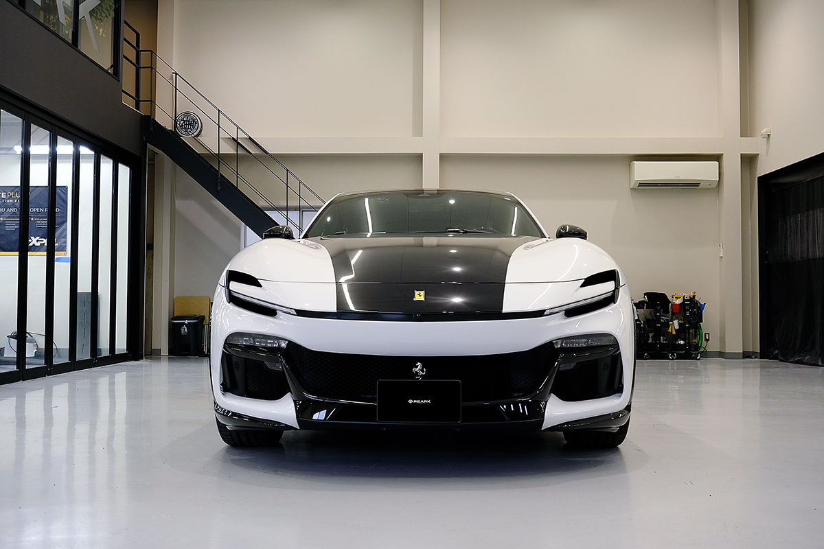 プロサングエカーボンプロテクションフィルム