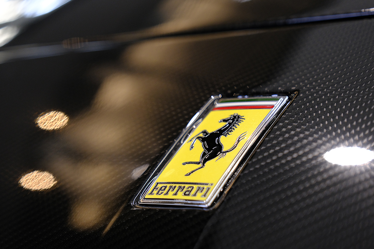 プロサングエカーボンプロテクションフィルム