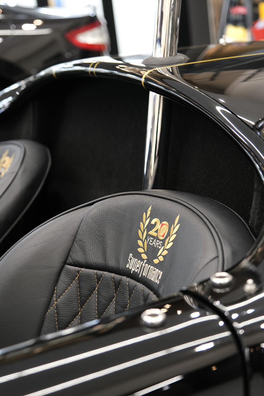 コブラ 猫の傷補修 磨き ポリッシュ リアーク施工