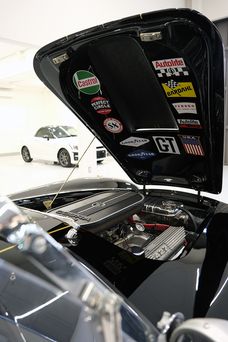 コブラ 猫の傷補修 磨き ポリッシュ リアーク施工