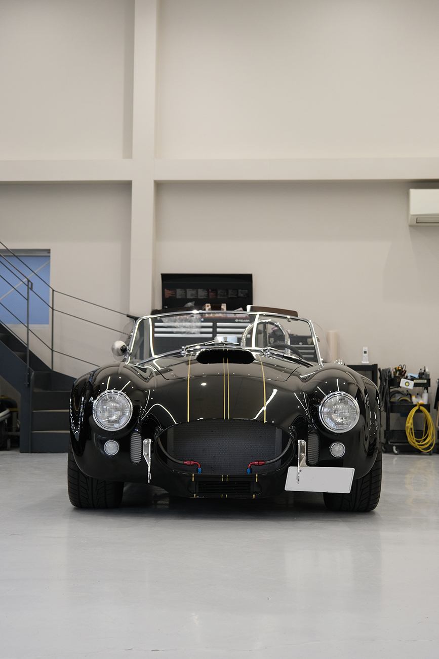 コブラ 猫の傷補修 磨き ポリッシュ リアーク施工