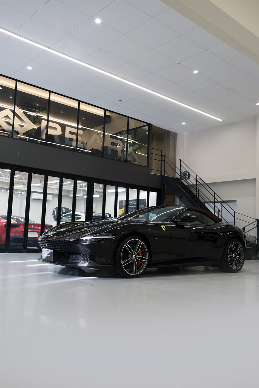 ローマスパイダー プロテクションフィルム リアーク