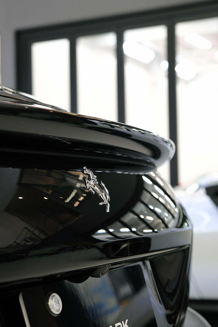 ローマスパイダー プロテクションフィルム リアーク