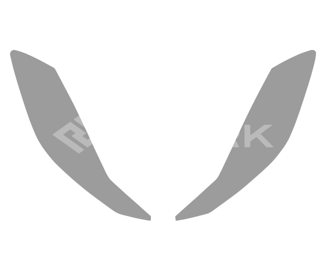 Head Light